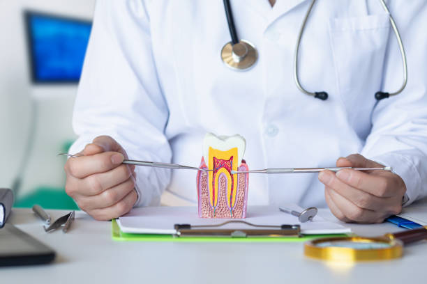 Best Emergency Root Canal Therapy in Hudson, TX